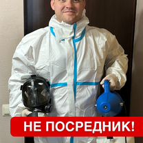 Дезинфекция уничтожение клопов тараканов клещей