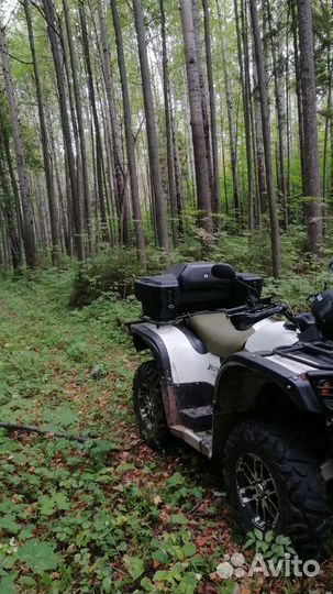 Стэлс леопард