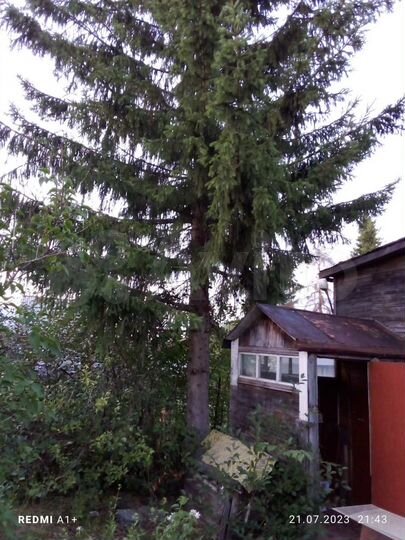 Участок 9 сот. (СНТ, ДНП)