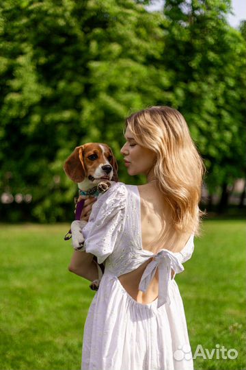 Фотограф-анималист