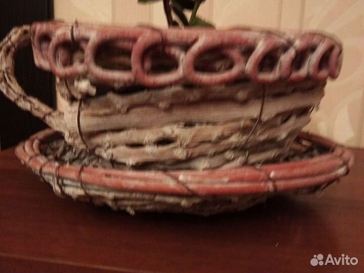 Комнатное растение