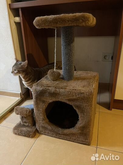 Домик-когтеточка для животных