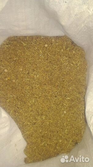 Кормосмесь дробленка пшеничная