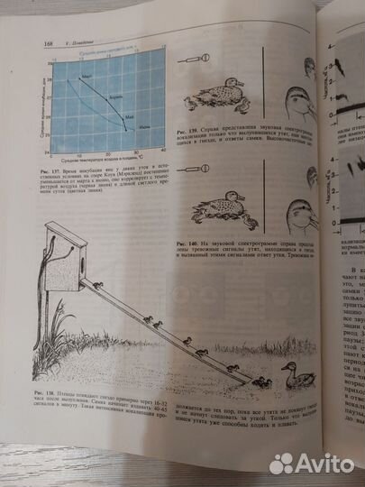 Книга птицы 1983 год СССР