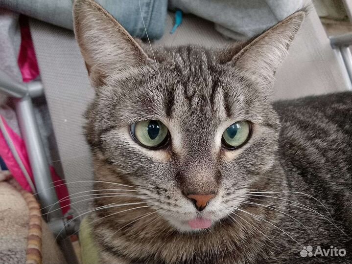 Озорная Бетти ищет дом