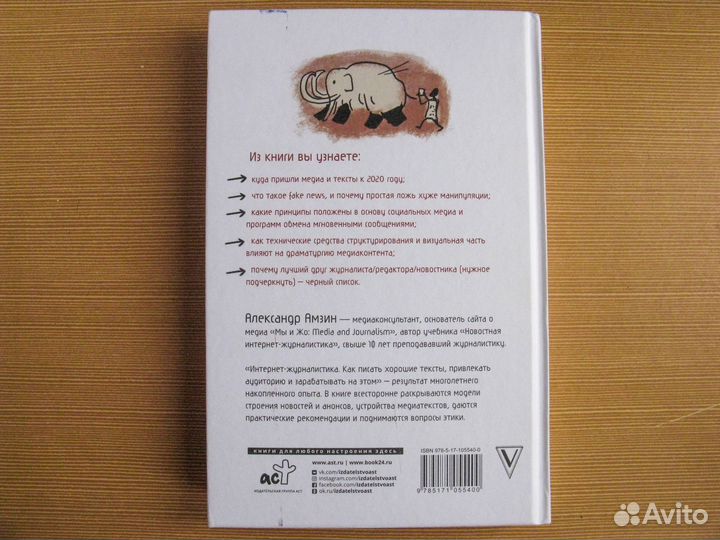 Александр Амзин «Интернет-журналистика»