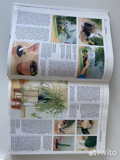 Книги о комнатных растениях и альпийские горки