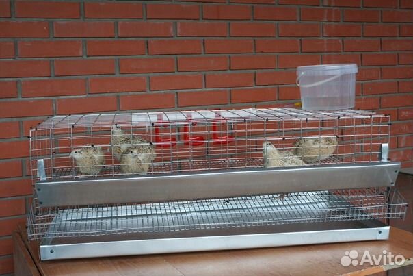 Клетки для кур, перепелов и др