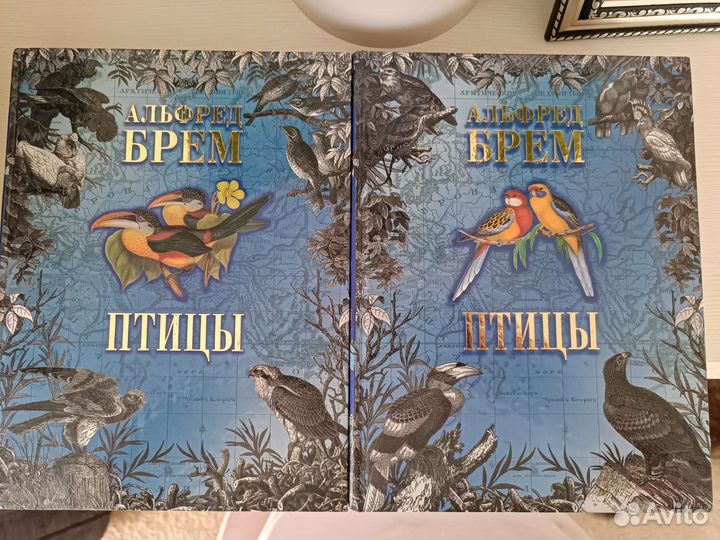 Книги Альфред Брэм Птицы