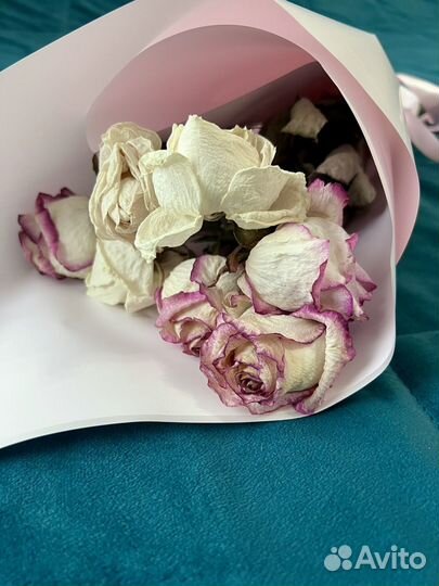 Сухие бутоны роз / сухоцветы