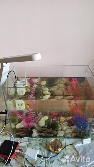 Аквариум