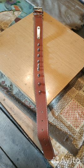 Ошейник с шипами для собак