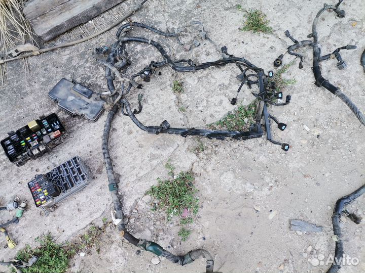 Блок предохранителей с проводкой Honda Element