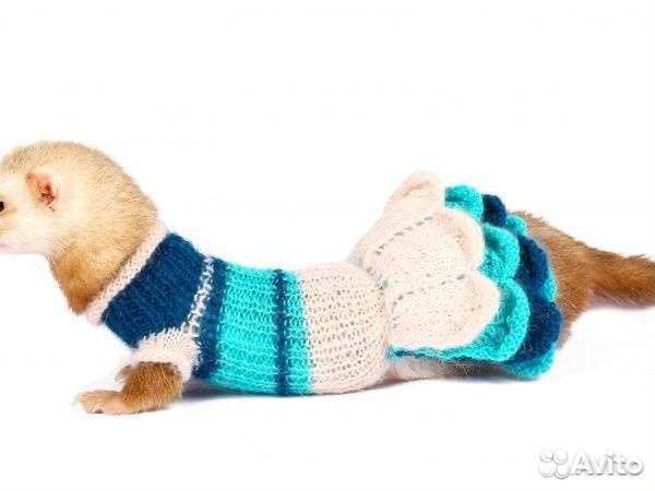 Одежда для хорьков