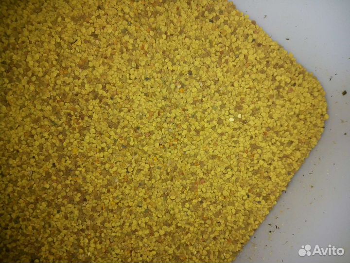 Продам мед пыльца прополис воск экстракт васковой