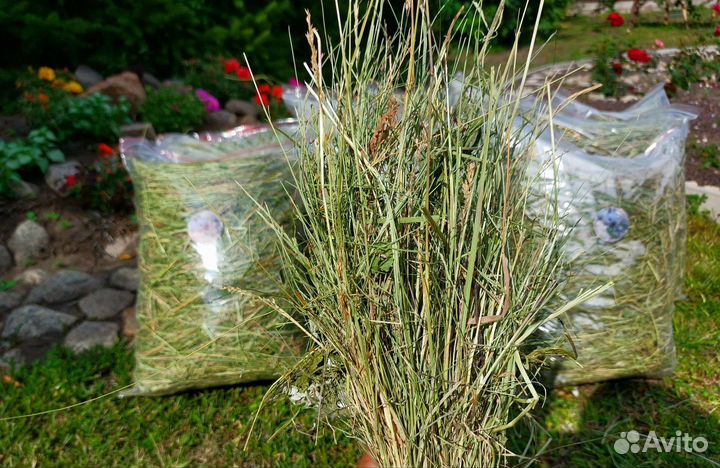 Сено луговое