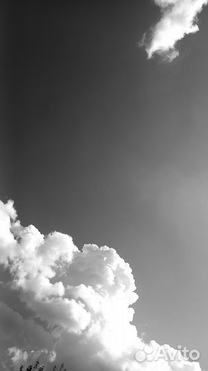 Мобильная фотосессия