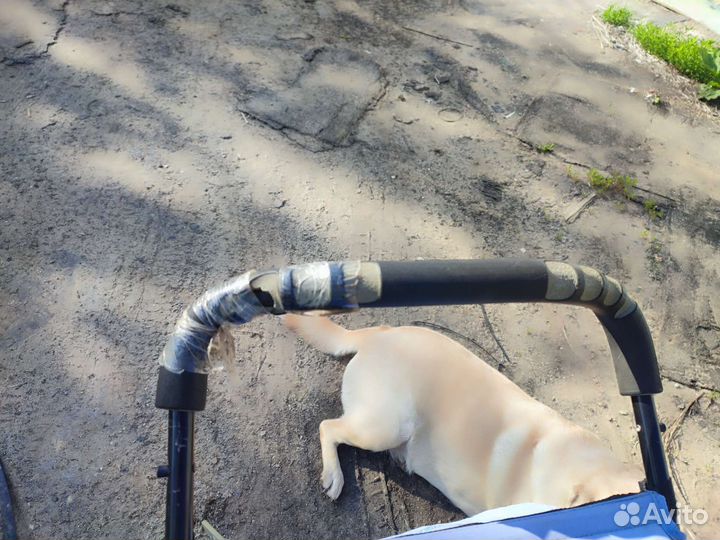 Прогулочная коляска бу