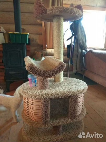 Товары для животных