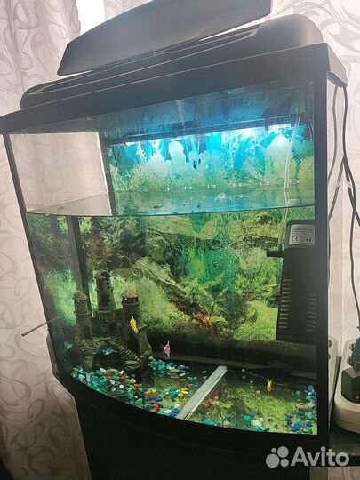 Аквариум