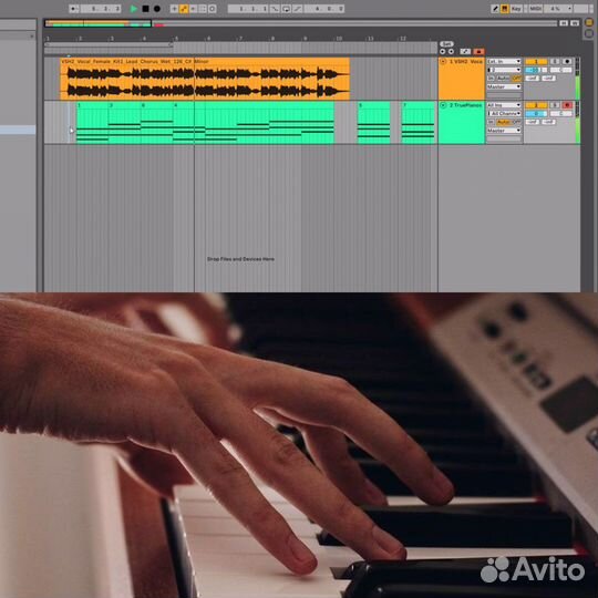 Ableton Live 11 lite