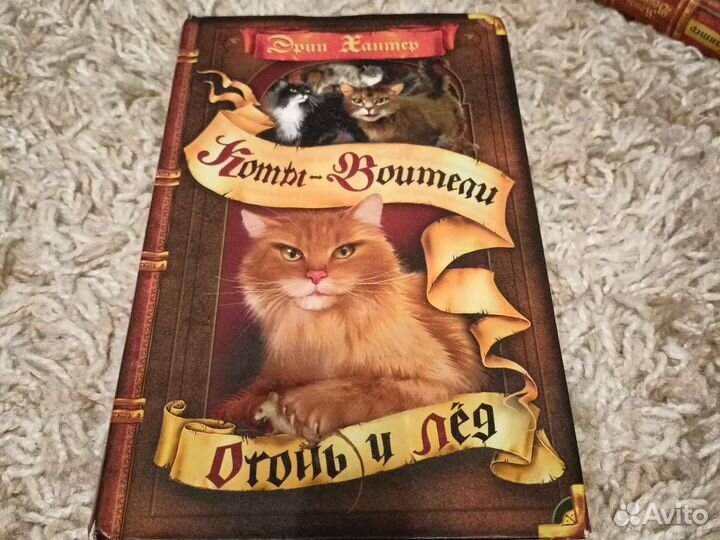 Серия книг Э. Хантер 