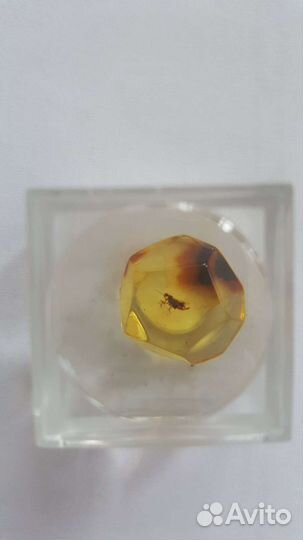 Янтарь с инклюзами