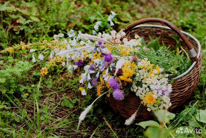 Сбор от гельминтов