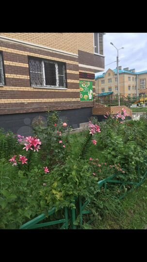 Общепит, 80.8 м²