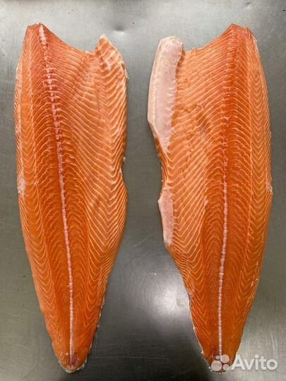 Филе семги\форели оптом