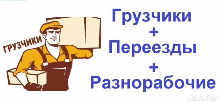 Грузчики-Разнорабочие