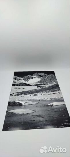 Набор фото природы