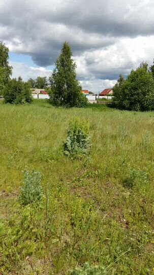 Участок 15 сот. (ИЖС)