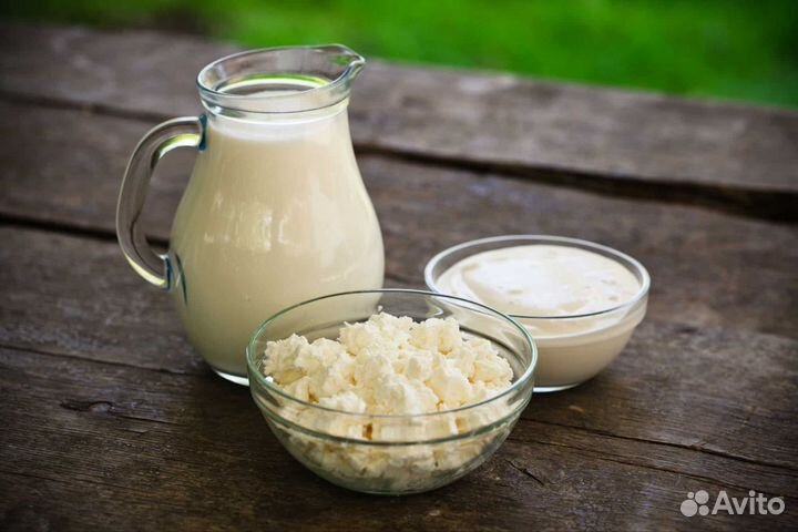 Сливки домашние,творог,яйцо куриное,масло сливочно