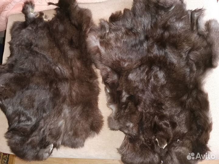 Шкурки норки