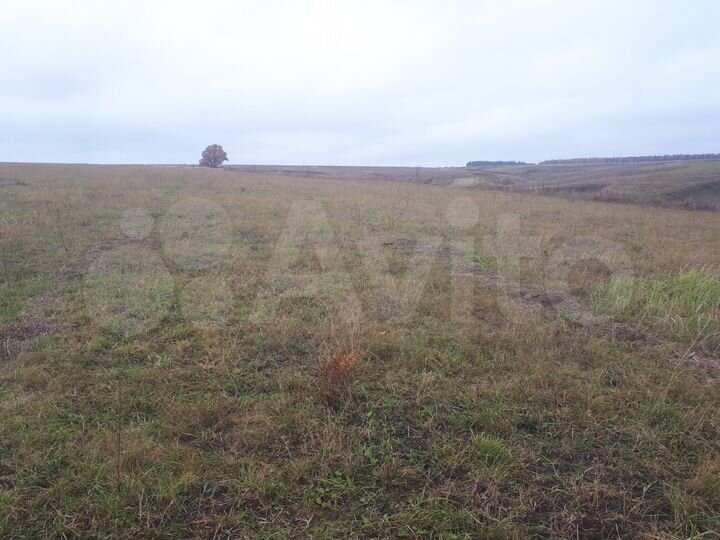 Участок 7,36 га (СНТ, ДНП)