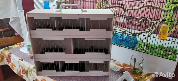 Продам транспордер (переноску) для птиц