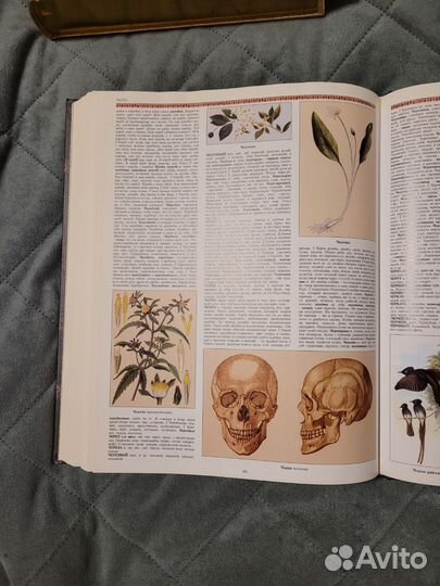 Иллюстрированный толковый словарь. В.И.Даль