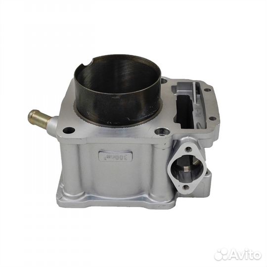 Цилиндр двигателя ZS174MN-3 (CBS300)