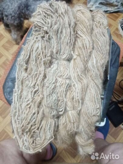 Пряжа из собачьей шерсти