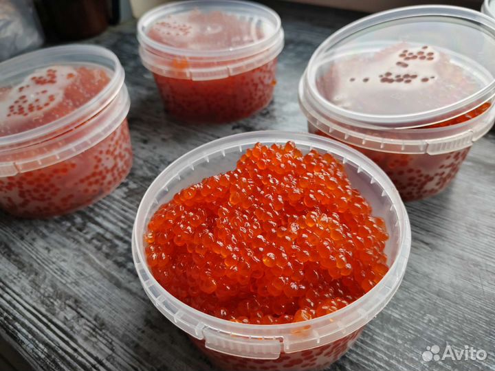 Красная икра кеты, горбуши 2023