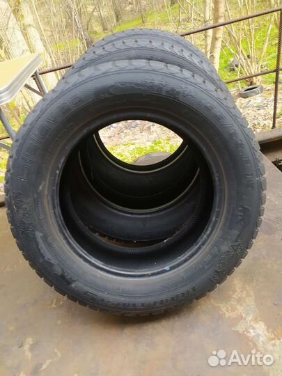 Gislaved Nord Frost 5 195/65 R15