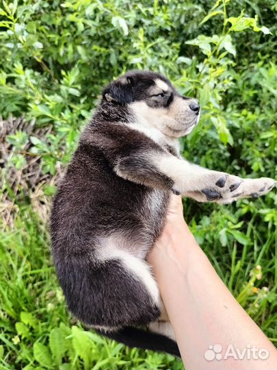 Родилась 11 мая