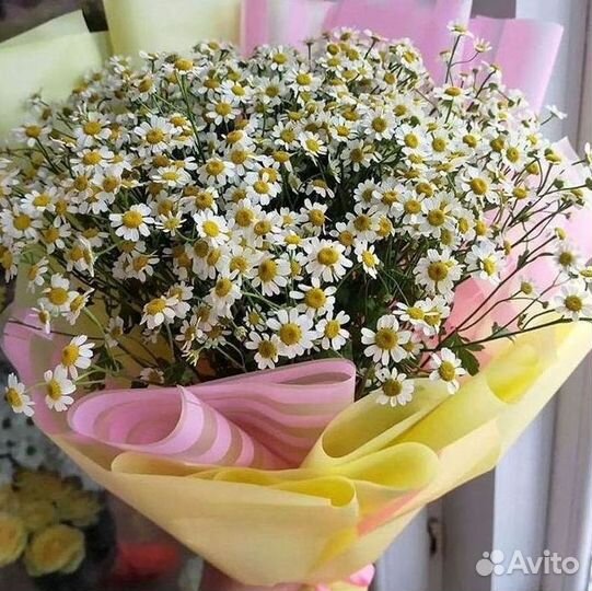 Ромашки Пионы Розы Доставка