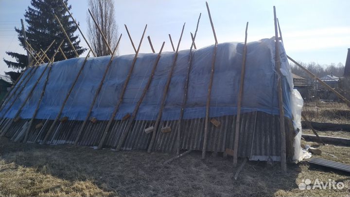 Продам сено в рулонах