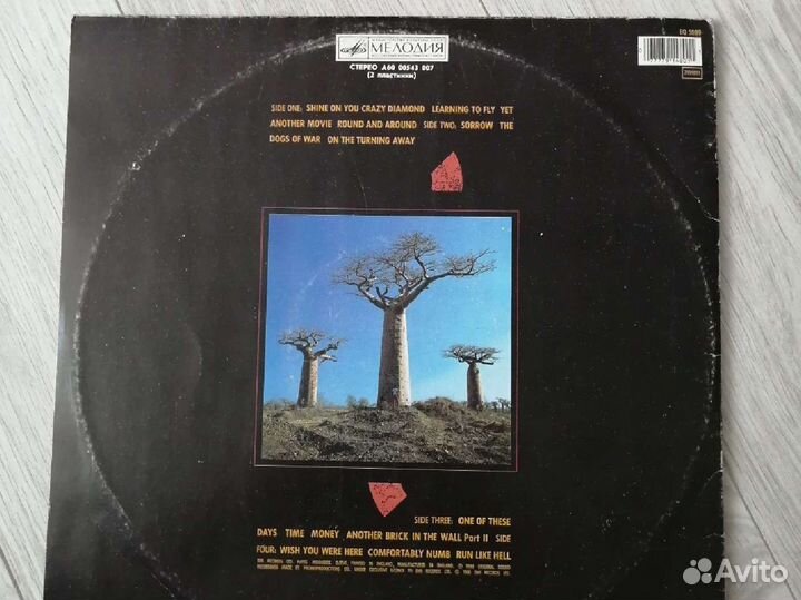 Pink Floyd delicate sound of thunder винил