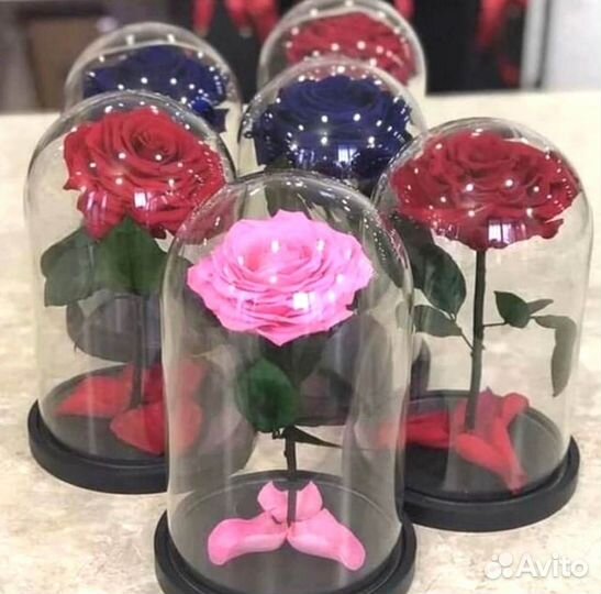 Живая роза в колбе