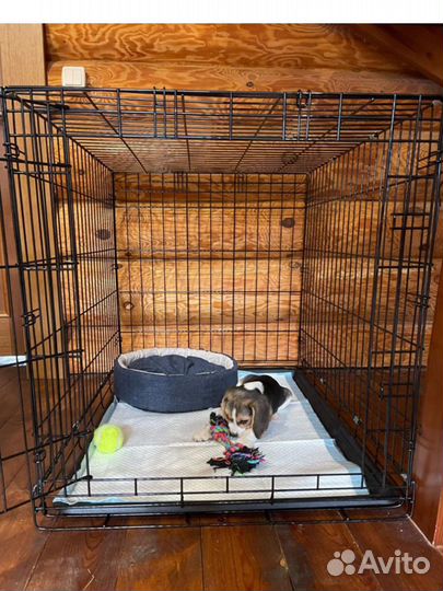 Клетка любого размера доставка в Гурзуф