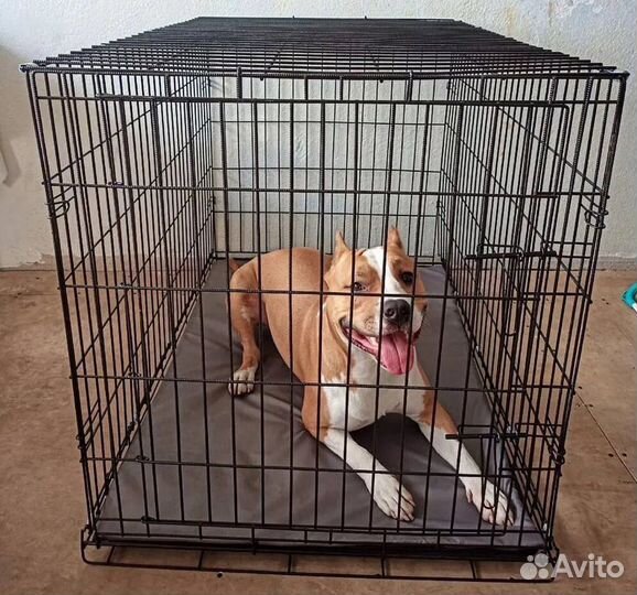 Клетка для собак