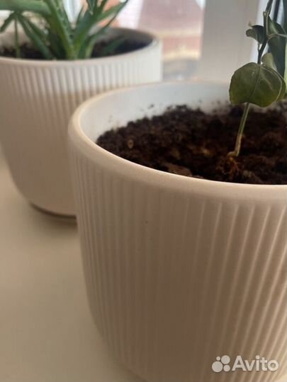 Кашпо горшок для цветов